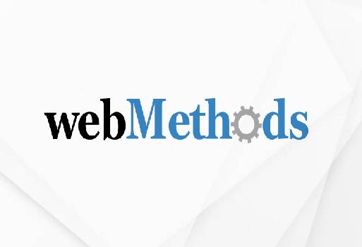 WebMethods Consultants